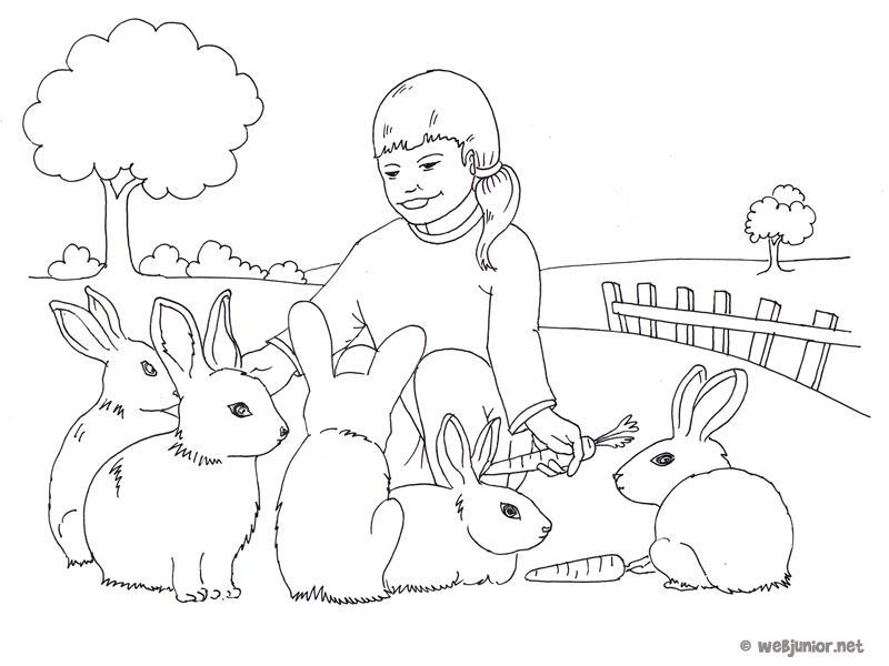 A la ferme : les lapins : coloriage Occasions gratuit sur Webjunior